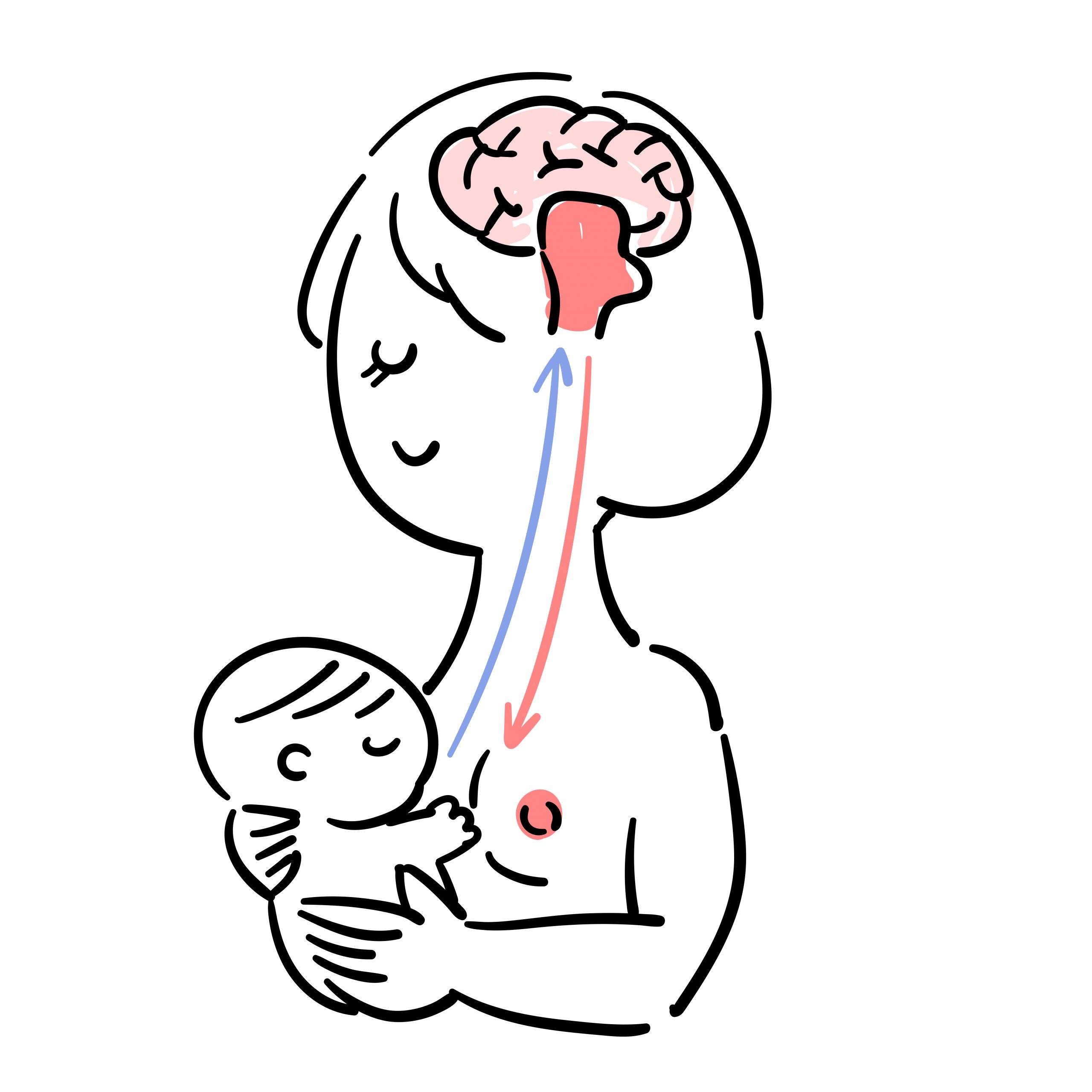 Oksitocin pomaže majci da se emotivno veže s bebom