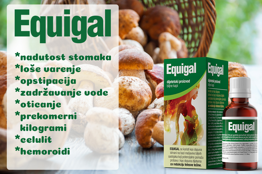 Equigal
