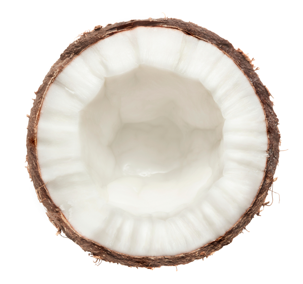 Polovina kokosa presek
