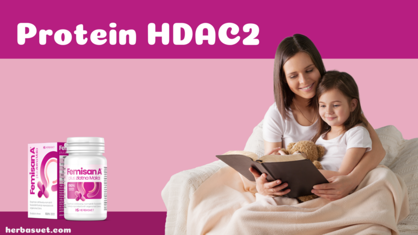 Endometrioza i trudnoća: protein HDAC2