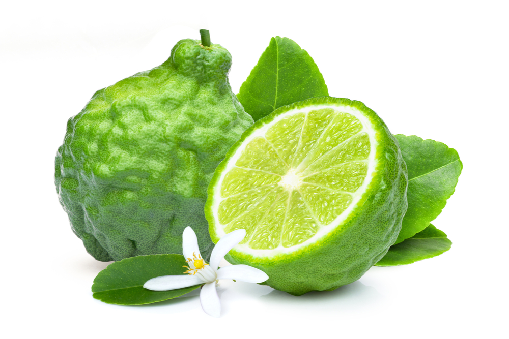 Bergamot Orange Herba Svet