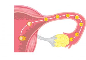 bol ovulacije u zglobovima