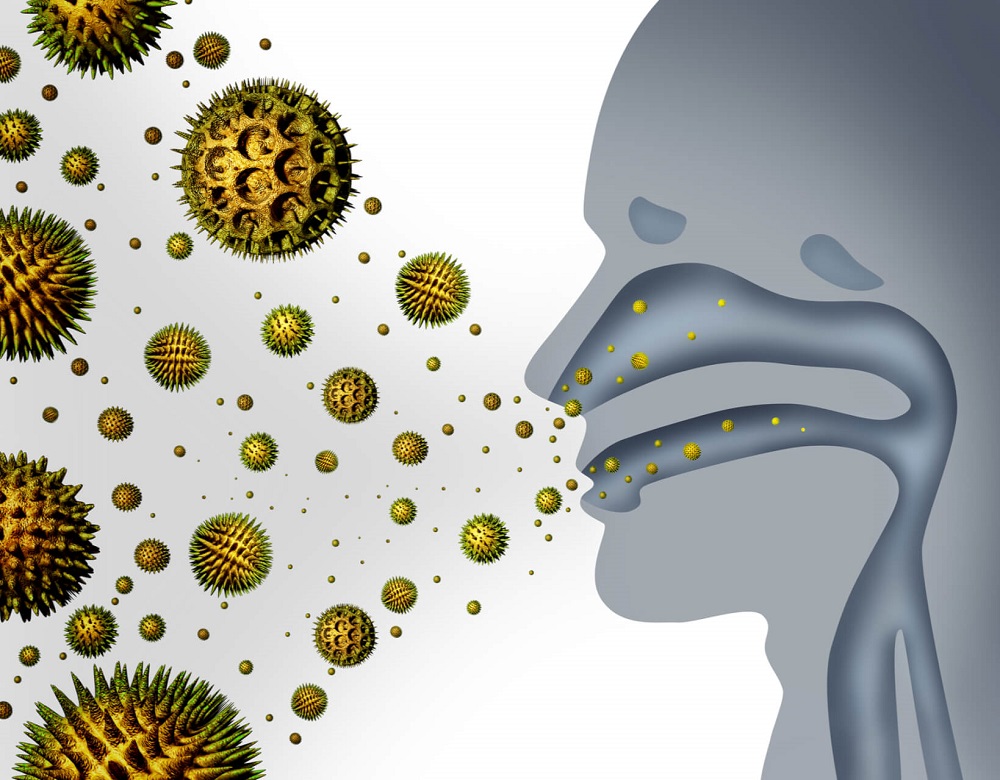 alergene čestice