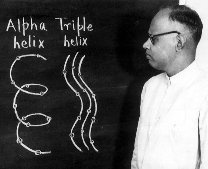 Ramachandran with Alpha helix and Triple helix chart on blackboard
