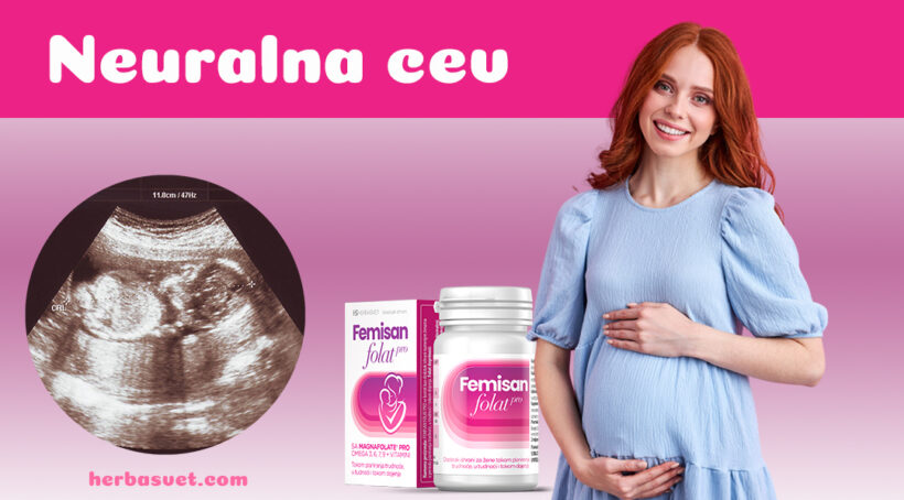 Spina bifida, neuralna cev, trudnoća, Femisan Folat Pro