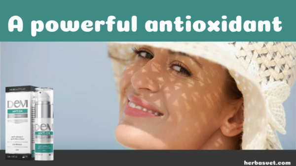 Ferulic Acid: a powerful antioxidant