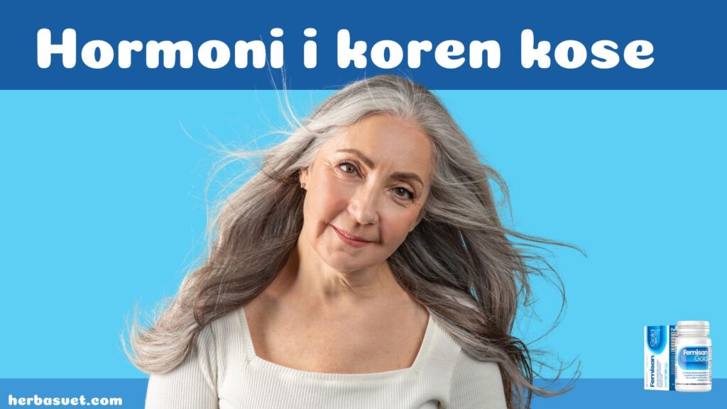 Opadanje kose u menopauzi - Hormoni i koren kose