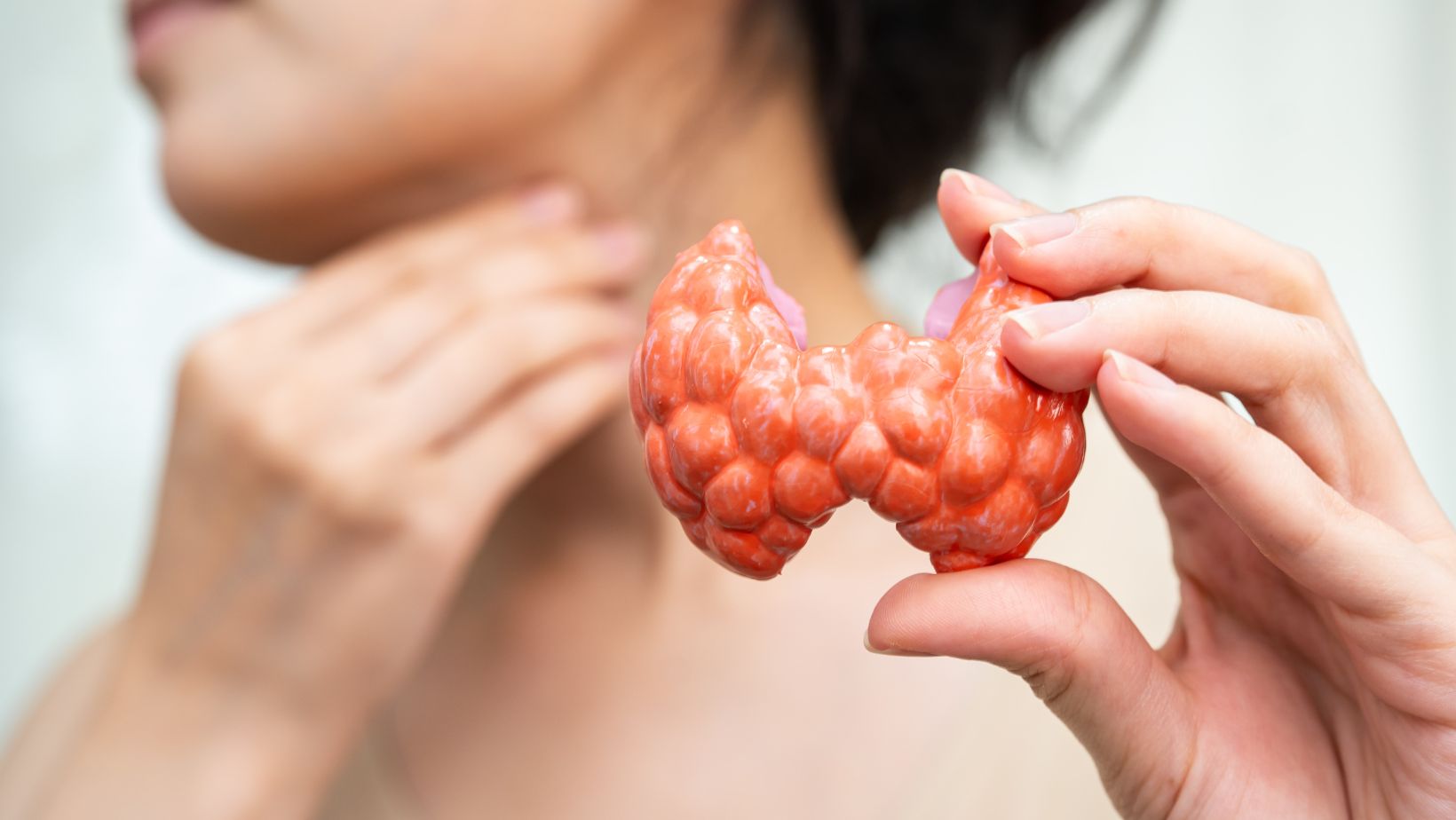 Žena drži u rukama model štitaste žlezde