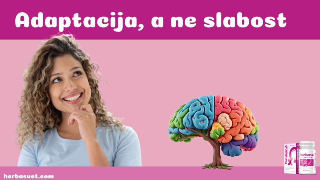 Mozak i ciklus: adaptacija, a ne slabost