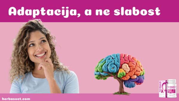 Mozak i ciklus: adaptacija, a ne slabost