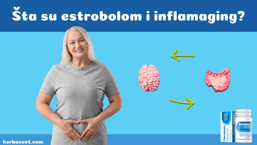 Menopauza i mikrobiom: Šta su estrobolom i inflamaging?